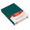 Obrazek Matex Prześcieradło frotte z gumą 110/120x190/200 PREMIUM, morskie