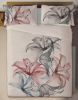 Picture of Matex Pościel lniana LINEN drukowana 160x200+30, 2 x 70x80+20. Lilie